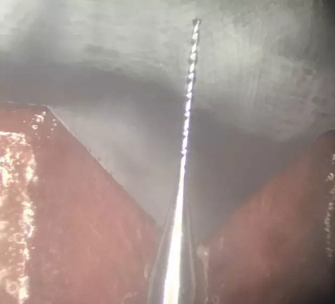 1630045109206575.png image.png